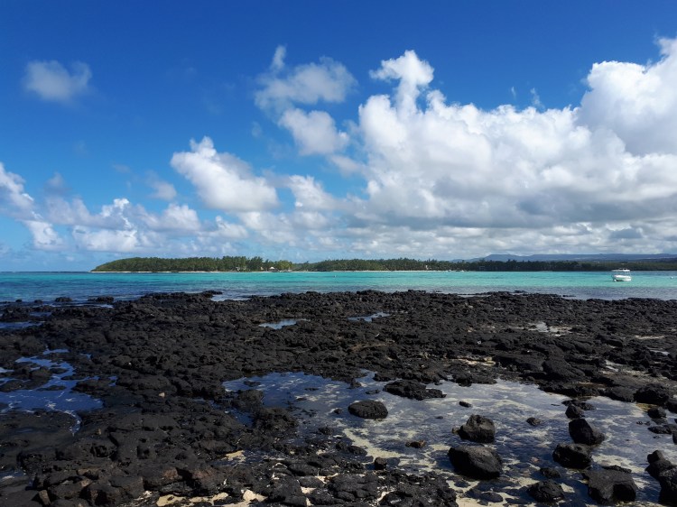 Has the Pandemic Negatively Impacted Conservation Efforts&nbsp;Globally?