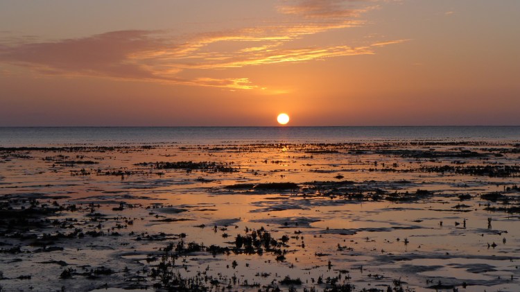 Is it Just Mud and Sand? What Really Lies Beneath the&nbsp;Surface?